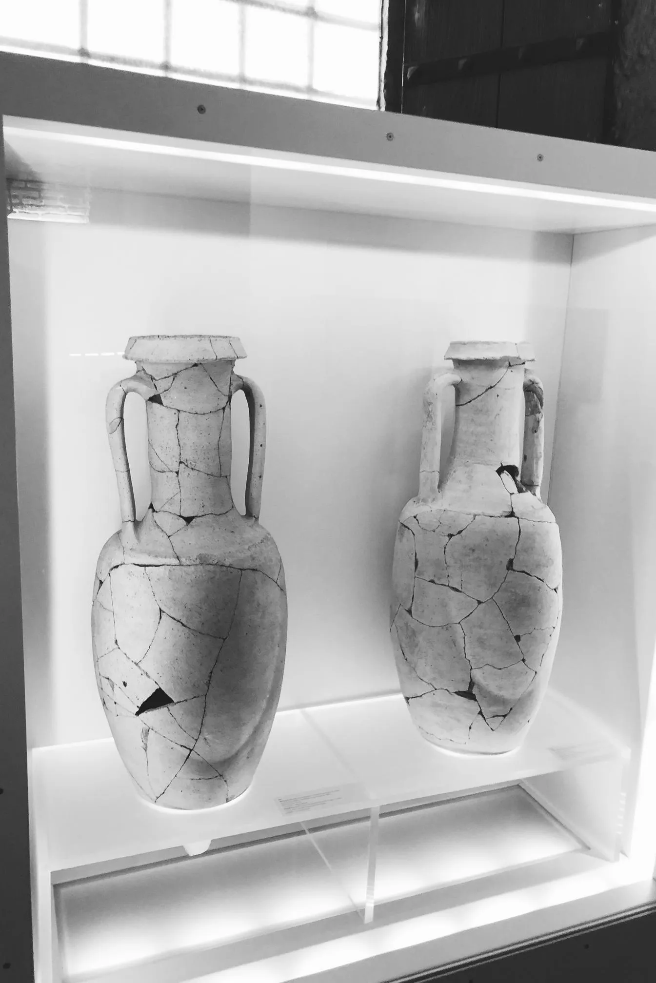 Amphora
